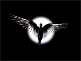 Shadow7145
